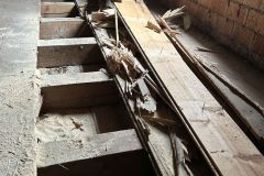Web_0097