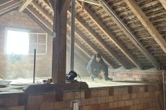 Web_0173