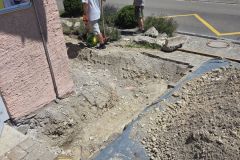 Web_0253