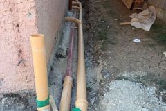 Web_0289