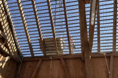 Web_1181